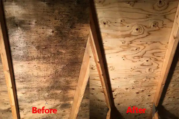 water damage restoration service McDermott
